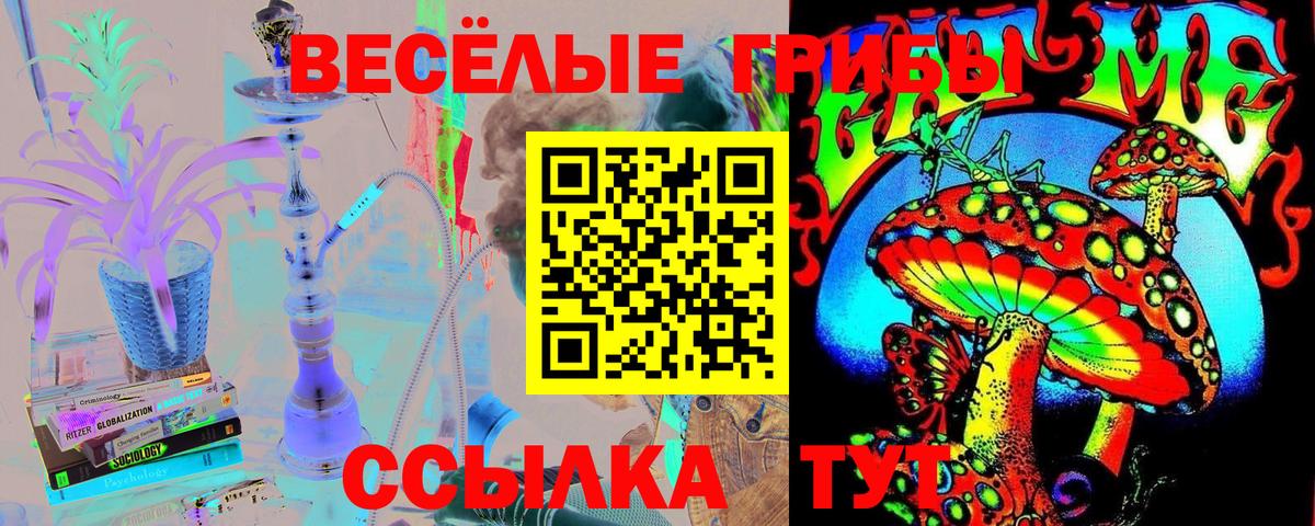 Галлюциногенные грибы ЛСД Ефремов