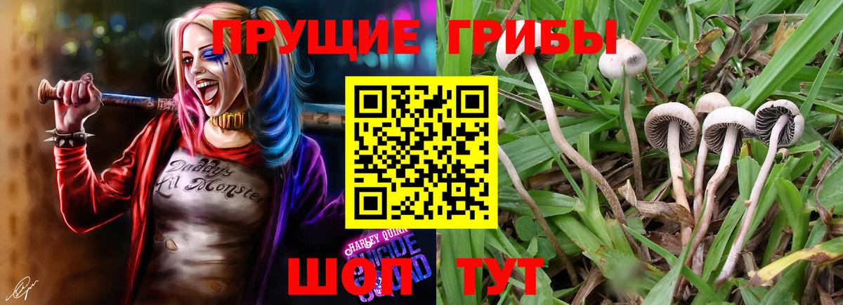 Псилоцибиновые грибы прущие грибы  Вход с VPN  Ефремов  цена наркотик  Галлюциногенные грибы ЛСД 